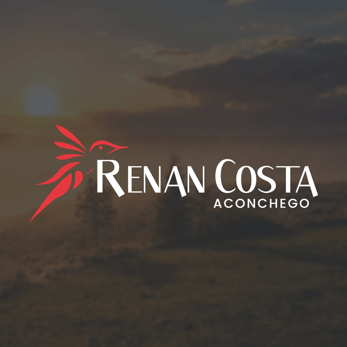 Imobiliaria Renan Costa