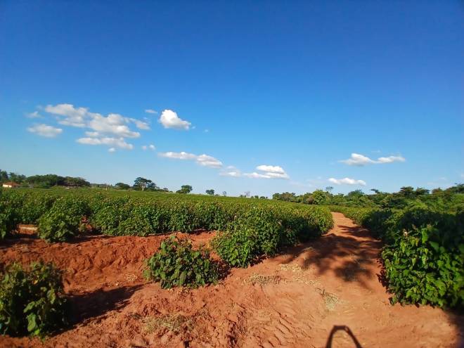 ESTRADA MUNICIPAL- TPA 268, JOAO FERNANDES DA SILVA, N/S