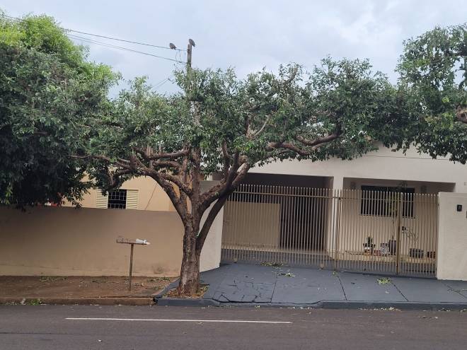 Av Benedita Camargo, 987