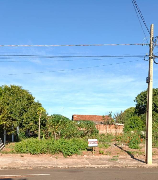 AV 7 de Setembro, 1381