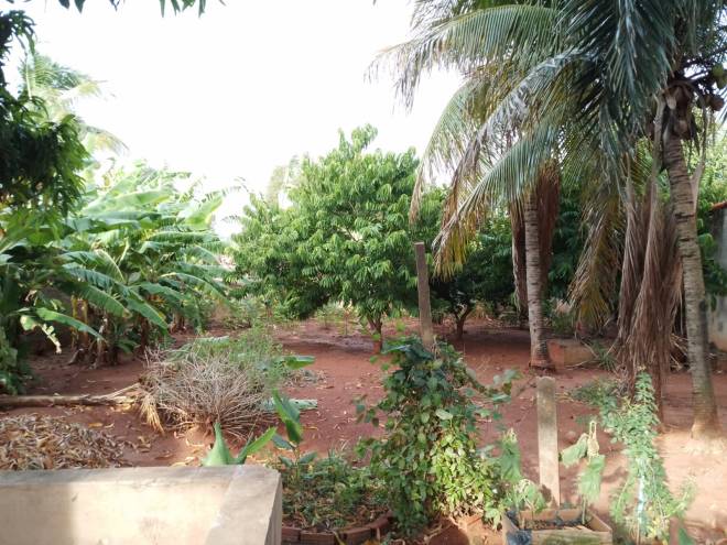 AV BENEDITA CAMARGO, 1214