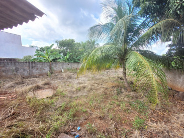 Av Benedita Camargo, 1226