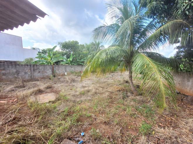 Av Benedita Camargo, 1226