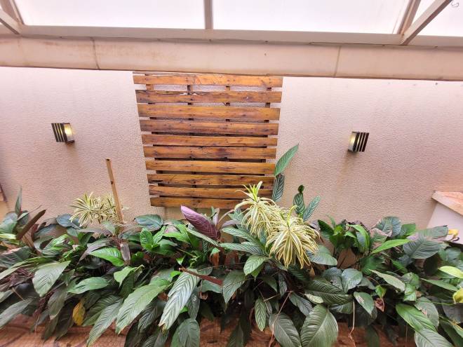 Rua Nelson Dias Neves