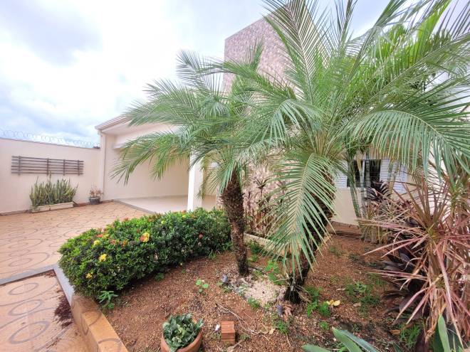 Rua Nelson Dias Neves