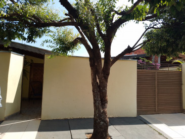 R Olivio Segato, 1267