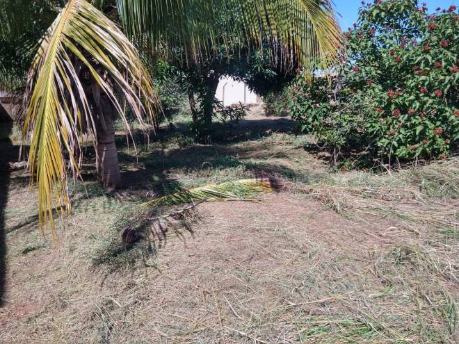 Rua dos Anturios, s/n