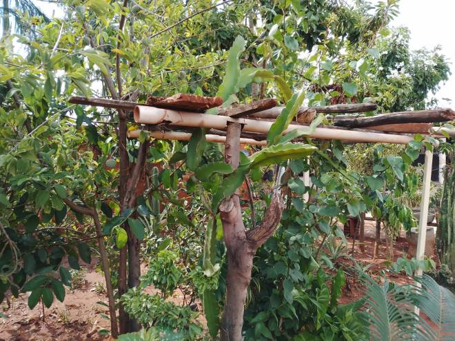 Rua Projetada 2, 880