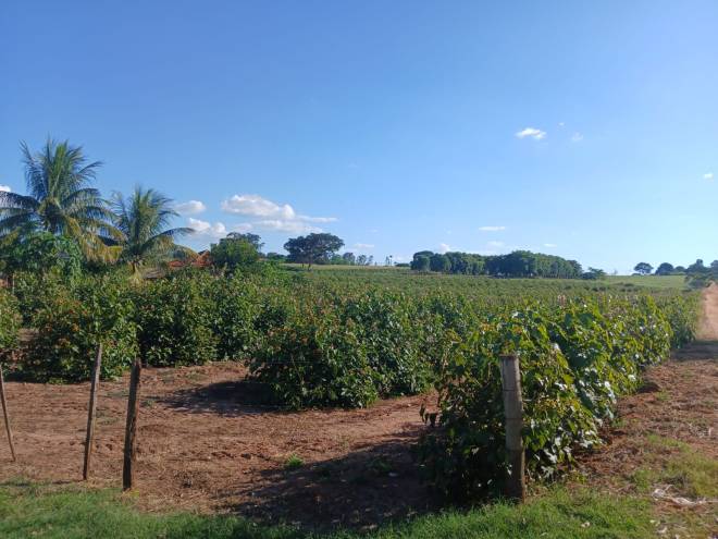 ESTRADA MUNICIPAL- TPA 268, JOAO FERNANDES DA SILVA, N/S