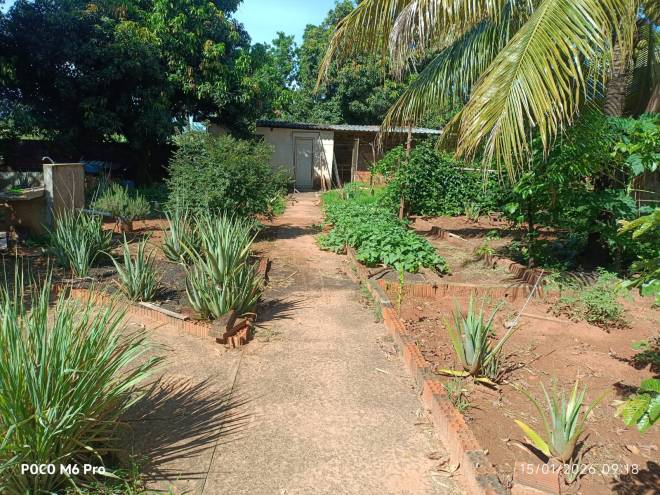 RUA GEORGE BORSANK, 305