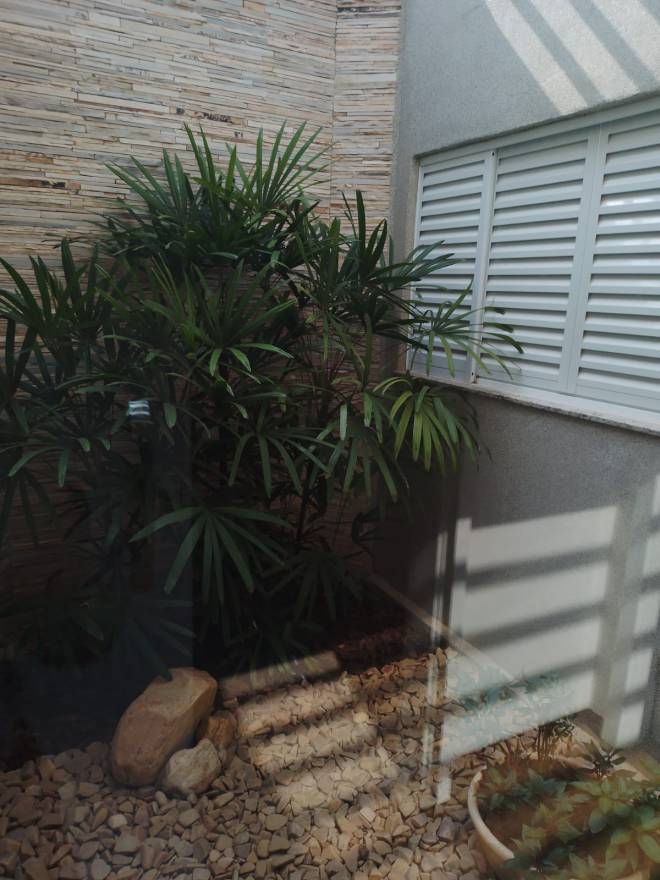 RUA JOAQUIM MACHADO, 147