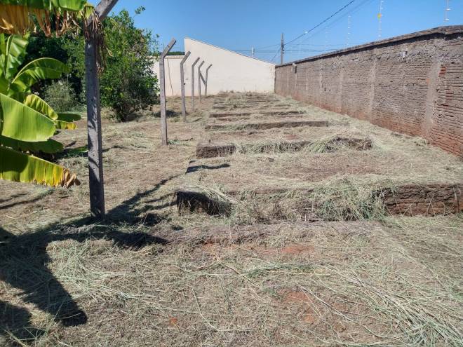 Rua dos Anturios, s/n