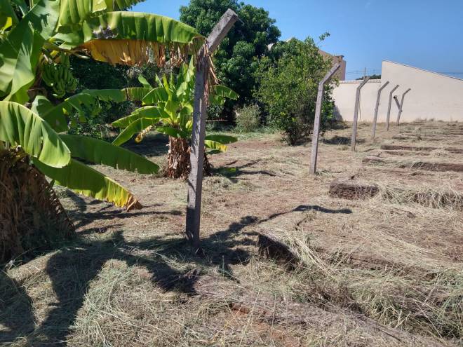 Rua dos Anturios, s/n