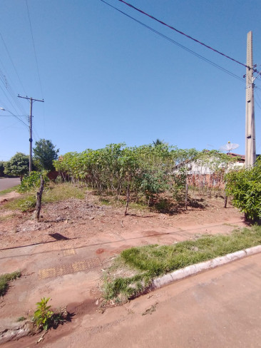 Rua Altino Francisco Cruz, SN