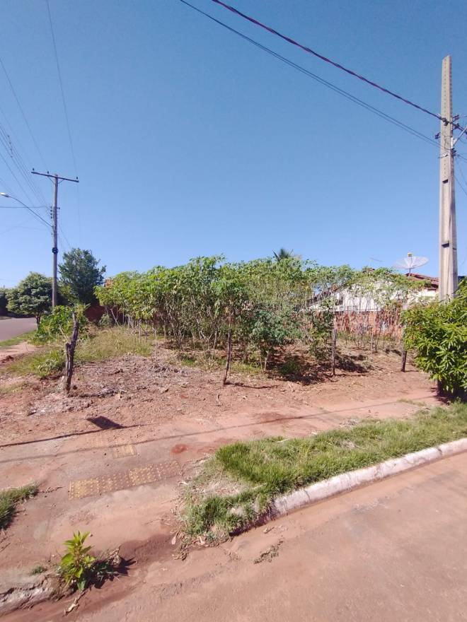 Rua Altino Francisco Cruz, SN