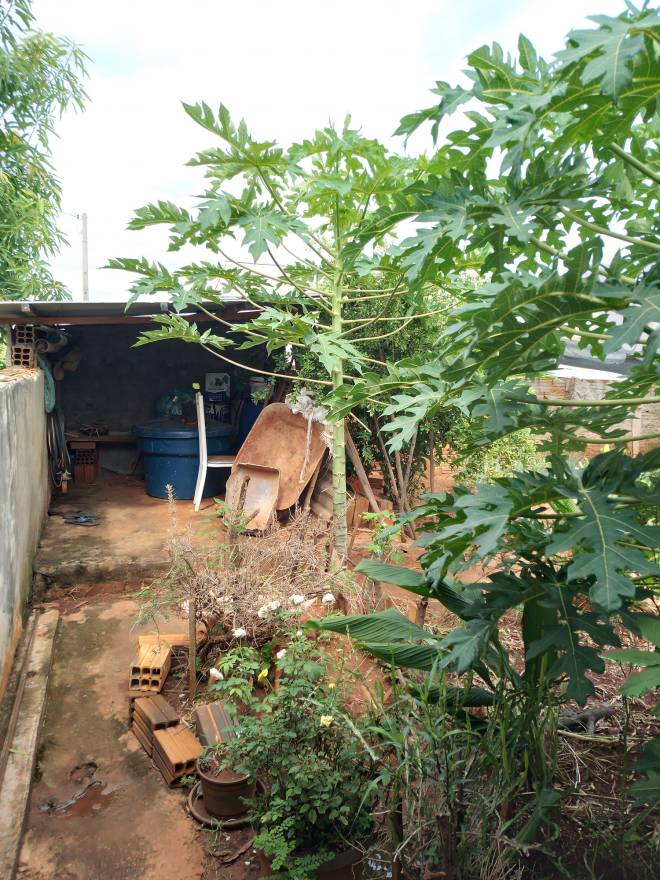 RUA APARECIDO ROBLES, 809